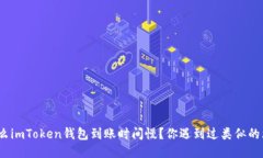 : 为什么imToken钱包到账时