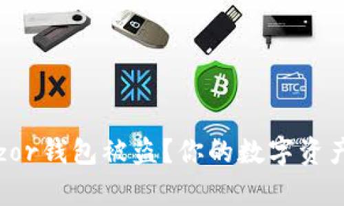 : 如何防止Trezor钱包被盗？你的数字资产安全有保障吗？