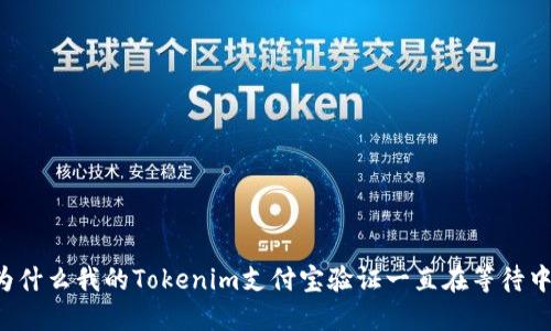 为什么我的Tokenim支付宝验证一直在等待中？