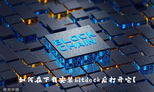 如何在下载安装bitdock后打开它？