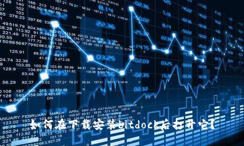 如何在下载安装bitdock后打开它？