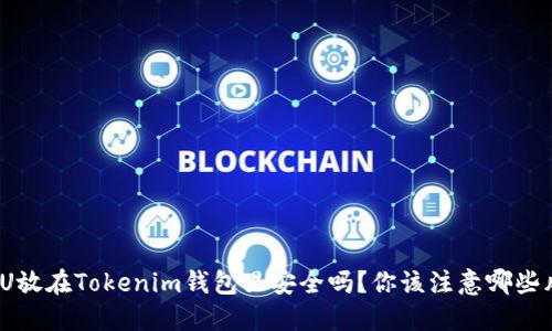 : 把U放在Tokenim钱包里安全吗？你该注意哪些风险？