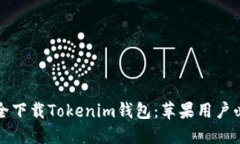 如何安全下载Tokenim钱包：
