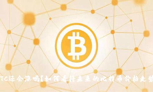 BTC还会涨吗？如何看待未来的比特币价格走势？