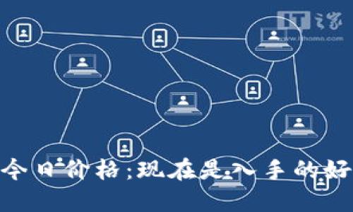 USTD币今日价格：现在是入手的好时机吗？