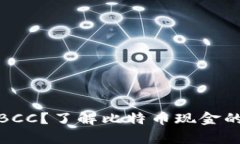 哪个钱包支持BCC？了解比