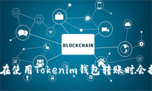 : 为什么在使用Tokenim钱包转账时会提示风险？