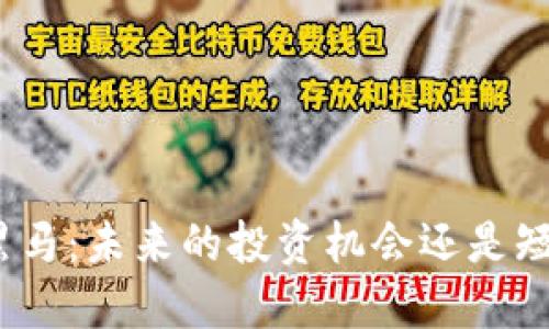 加密货币黑马：未来的投资机会还是短暂的泡沫？
