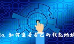 Sia 如何查看自己的钱包地