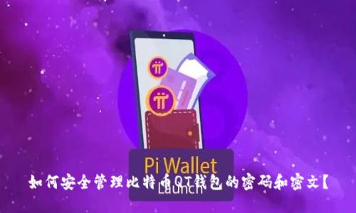 如何安全管理比特币QT钱包的密码和密文？
