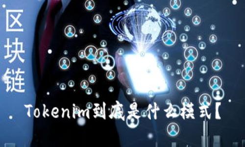 Tokenim到底是什么模式？