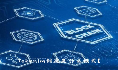 Tokenim到底是什么模式？
