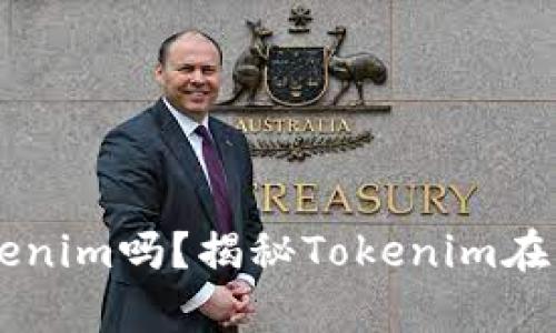 苹果真的能用Tokenim吗？揭秘Tokenim在苹果设备上的应用