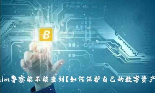 Tokenim警察能不能查到？如何保护自己的数字资产安全？