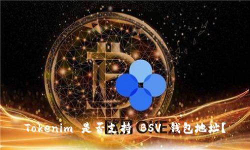 Tokenim 是否支持 BSV 钱包地址？