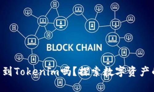 NFT可以转移到Tokenim吗？探索数字资产的转换与管理