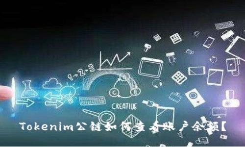 Tokenim公链如何查看账户余额？