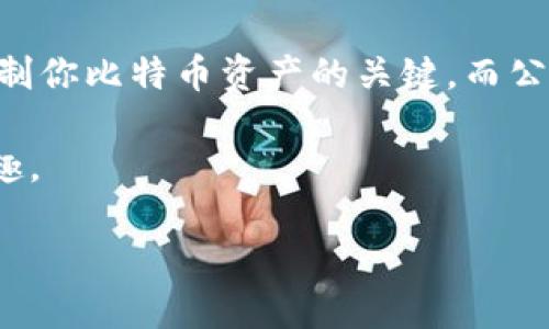 比特币钱包私钥公钥是每一个比特币用户在数字货币世界中的重要工具。随着比特币的不断发展和普及，理解这些基本概念变得尤为重要。接下来，我们将深入探讨比特币钱包的私钥、公钥，以及它们之间的关系和使用方式。

什么是比特币钱包？

比特币钱包可以被理解为一个软件程序或者应用，它帮助用户存储、发送和接收比特币。虽然钱包的名字让人到物理的钱包，但比特币的存储方式是数字化的。比特币实际上并不存储在钱包里，而是通过区块链上的记录来证明你的所有权。

私钥和公钥的基本概念

在了解比特币钱包的运作之前，必须理解私钥和公钥的概念。它们是形成钱包的两个关键组成部分。简单来说，公钥是用来生成比特币地址的，而私钥则是用来控制存储在该地址中的比特币。

想象一下，公钥就像是你银行账户的账号，大家可以通过它给你汇款。而私钥就像是你用来访问和管理银行账户的密码，如果没有它，你将无法进行任何交易。

私钥和公钥是如何生成的？

当你创建一个比特币钱包时，系统会随机生成一对密钥。首先，生成一个私钥，这个私钥是一串非常长且随机的数字和字母。例如，这个私钥可能是像“L1aUj6HTsystemv9jHEtJ2bieQGWReD1DnN4”这样复杂的字符串。要注意，私钥一定要妥善保管，丢失私钥就意味着丢失了相应的比特币。

接着，从这个私钥中可以通过算法生成一个对应的公钥。公钥是从私钥导出的，但该过程是单向的，意味着你无法通过公钥反推出私钥。这确保了你的资金安全，只有拥有私钥的人才能发起交易。

私钥是什么？

现在详细说说私钥。私钥在比特币世界中就像是钥匙，如果有人拿到了你的私钥，那么他们就能随意访问你的比特币资产。私钥要足够复杂，才能确保他人无法轻易破解。

私钥的安全性非常重要，所以大多数用户都会采取各种措施来保护它，比如使用冷存储（离线钱包），将私钥写下来保存，或者使用特定的硬件钱包。

公钥的作用和特性

接下来说说公钥。公钥是从私钥生成的，通常在交易中是公开的。它可以用来验证交易的真实性。在比特币网络中，当你发送比特币时，接收方只需知道你的公钥，就能确认这笔交易是合法的，因为公钥可以证明你是该比特币地址的合法持有者。

公钥不会泄露你的私钥，换句话说，即便别人获得了你的公钥，他们也无法控制你的比特币。因此，公钥可以安全地分享，而私钥则应当谨慎保管。

如何安全管理私钥和公钥？

安全地管理私钥和公钥是使用比特币钱包的基本要求。这里有几个实用的小贴士，帮助你保护投资。

ul
    li使用硬件钱包：硬件钱包是存储私钥的物理设备，它们能够提供额外的安全层。/li
    li冷存储：将私钥存储在不连接互联网的设备上，避免黑客攻击。/li
    li加密备份：在保存私钥的同时，可以将其加密后备份，确保在设备丢失或损坏时，依然能找回。/li
    li多重签名钱包：使用多重签名技术，可以设置需要多个密钥才能完成交易，提高安全性。/li
/ul

私钥丢失后的后果

如果你不小心丢失了私钥，那么无论你对比特币地址的所有权有多么确认，你将再也无法访问这些比特币。比特币是去中心化的，不存在任何第三方机构可以帮助你恢复。因此，确保私钥的安全和完整，是每位比特币用户的首要任务。

总结

理解比特币钱包的结构以及私钥和公钥的基本概念，对于每个想要参与数字货币世界的用户都是至关重要的。私钥是你访问和控制你比特币资产的关键，而公钥则用于验证和接收比特币。

记住，保持私钥的安全是保护自己资产的第一步。通过采用合适的安全措施，你可以有效地降低风险，享受比特币带来的便利与乐趣。 

bialti如何安全使用比特币钱包中的私钥和公钥？