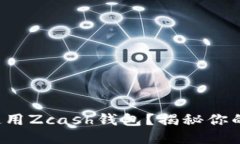 如何安全高效地使用Zcas