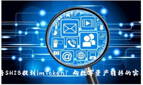 如何将SHIB提到imToken? 向数字资产转移的实用指南