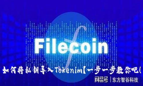 如何将私钥导入Tokenim？一步一步教你吧！