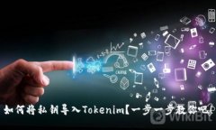 如何将私钥导入Tokenim？一