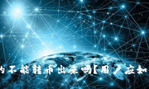 Tokenim钱包真的不能转币出来吗？用户应如何有效管理资产？