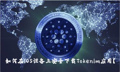 如何在iOS设备上安全下载Tokenim应用？