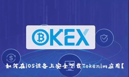 如何在iOS设备上安全下载Tokenim应用？