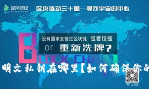 imtoken钱包的明文私钥在哪里？如何确保你的数字资产安全？