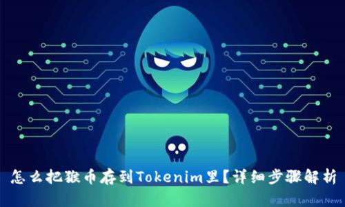 怎么把猴币存到Tokenim里？详细步骤解析