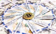 币圈权威网站的内容前景