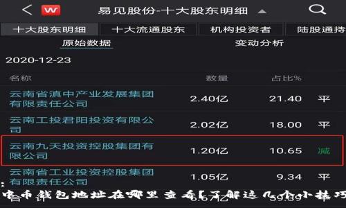 :
中币钱包地址在哪里查看？了解这几个小技巧