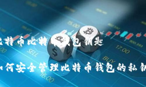 比特币比特币钱包钥匙

如何安全管理比特币钱包的私钥？