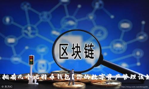 一个人能拥有几个比特币钱包？你的数字资产管理该如何规划？