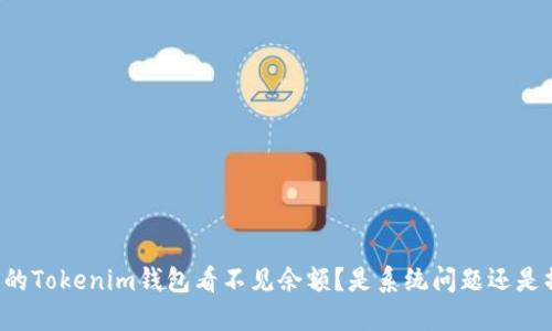 为什么我的Tokenim钱包看不见余额？是系统问题还是操作失误？