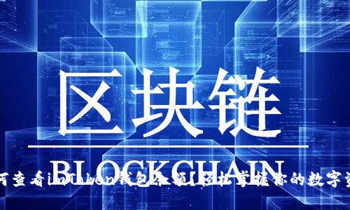 如何查看imToken钱包余额？轻松掌握你的数字资产