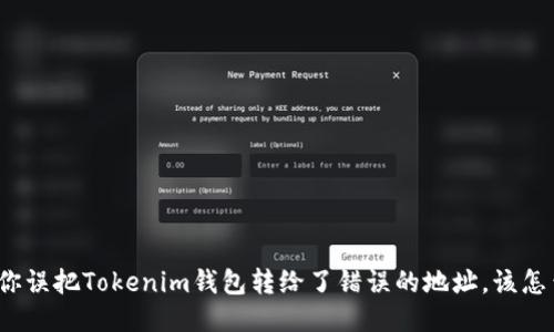 如果你误把Tokenim钱包转给了错误的地址，该怎么办？