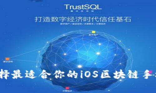 如何选择最适合你的iOS区块链手机钱包？