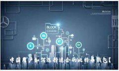 中国用户如何选择适合的