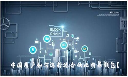 中国用户如何选择适合的比特币钱包？