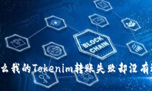 为什么我的Tokenim转账失败却没有退回？