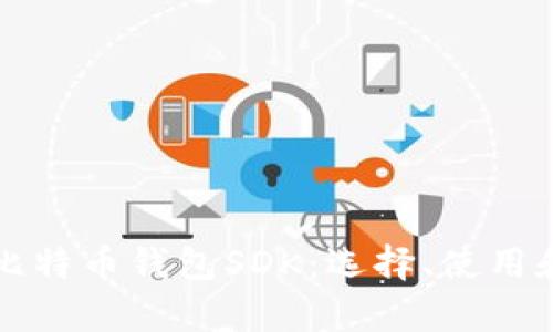 全面解析比特币钱包SDK：选择、使用和安全指南