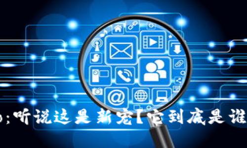 波宝Pro：听说这是新宠？它到底是谁开发的？