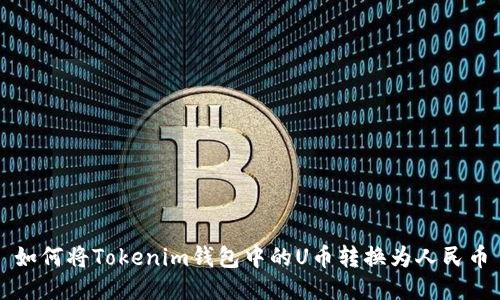 如何将Tokenim钱包中的U币转换为人民币