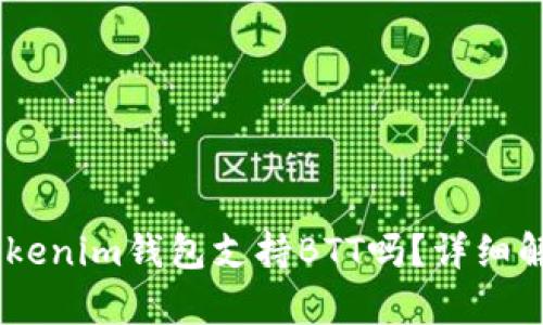 biatotiTokenim钱包支持BTT吗？详细解析与指南