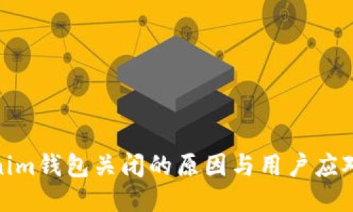 Tokenim钱包关闭的原因与用户应对策略