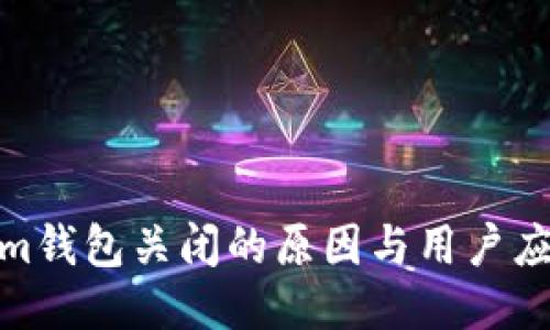 Tokenim钱包关闭的原因与用户应对策略
