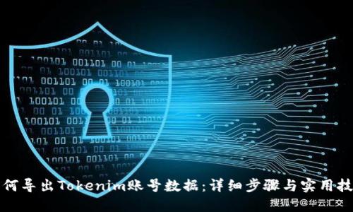 如何导出Tokenim账号数据：详细步骤与实用技巧