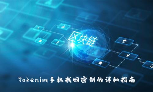 Tokenim手机找回密钥的详细指南